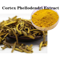 Buy online raw materials Cortex Phellodendri Extract powder