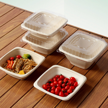 Eco-Friendly Degradable Bagasse Square Salad Bowl