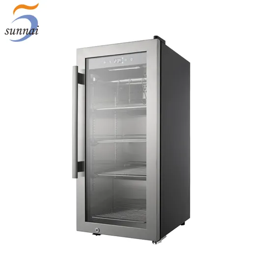 Commercial home small stable beef dry age fridge