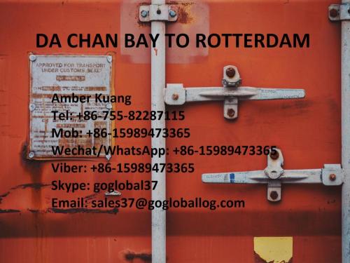 Shenzhen Da Chan Bay Sea Freight to Netherlands Rotterdam