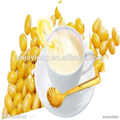 Complete soy bean milk processes line