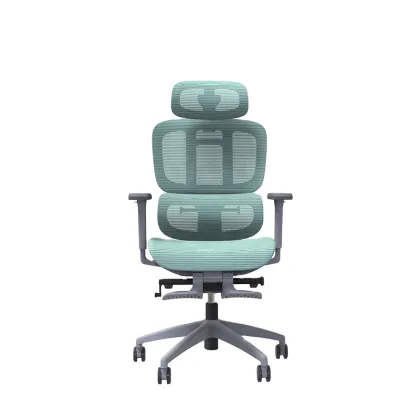 Ergonomic Office Chair with Headrest and Autonomous Ergonomics