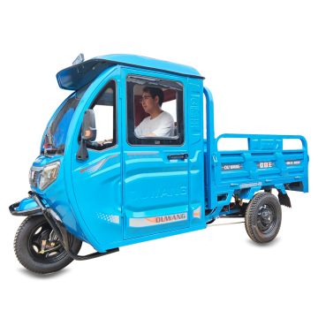 Affordable Enclosed Electric Cargo Tricycle for Factory Transport