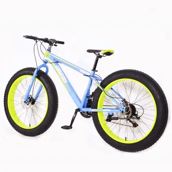 20 Inch Fat Tire Bicycles for Sale: Mountain, Snow, Beach Bikes