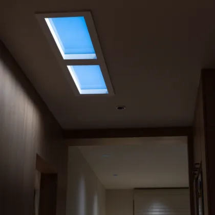 Artificial Sunlight LED Skylight Panel