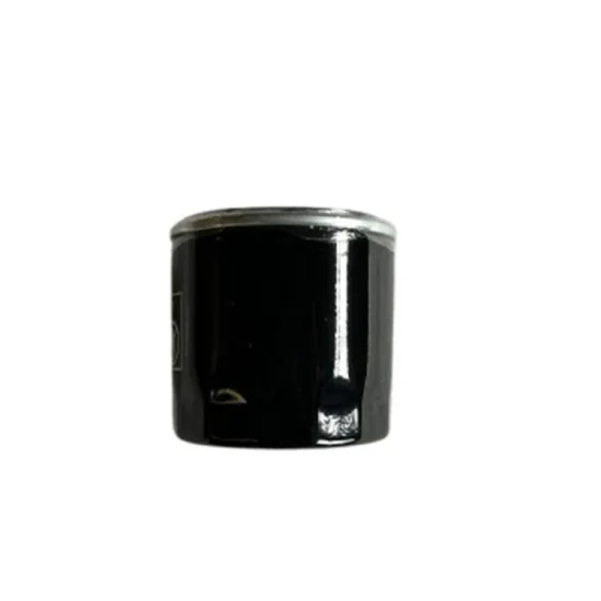 Affordable Stainless Steel Oil Filter H317W01 for Vehicle Engine Parts