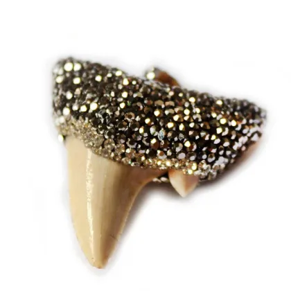 Wolf's Fang Shape Natural Crystal Clay Rhinestones Pendant