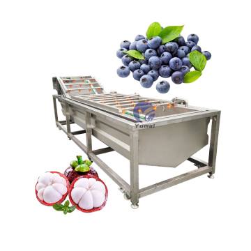 Penggunaan Air Rendah Mesin Mesin Apple untuk Buah Naga dan Sayuran Moringa