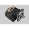 Hydraulic gear pumps cast iron