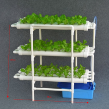 NFT 12 Rohrleitungshäuser -Hydroponikgärten