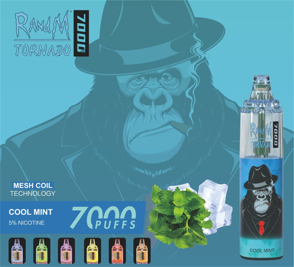 Fumot RandM 7K Wholesale Croatia Rechargable Vape Pen