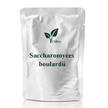 Saccharomyces boulardiiのプロバイオティクスパウダー