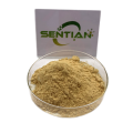 High-Purity Baicalein Extract from Scutellaria baicalensis
