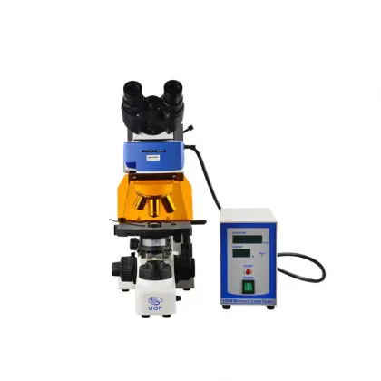 Zeiss Dichroic Mirror Fluorescence Microscope with DAPI Filter: A Comprehensive Guide for Advanced Imaging Techniques