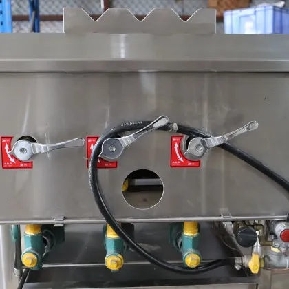 Whole Pig Roasting Machine: Perfecting Crispy Pork Meat Baking