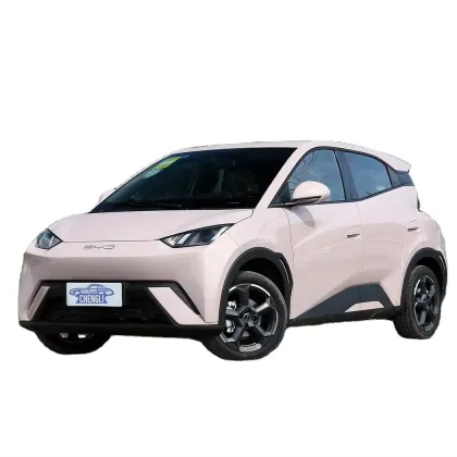 2024 BYD Seagull: Chinese 5-Seat Small Electric Car