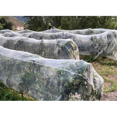 HDPE Agriculture Insect Net com UV tratado