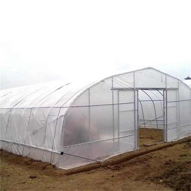 Economica Plastic Sheet Single Tunnel Greenhouse