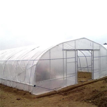 Multi span plastic film Greenhouse tomato greenhouse