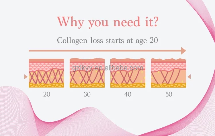 OEM/ODM Hot Sell Collagen Bird's Nest Diet Supplement Skin Whitening Beauty Cubilose Collagen Peptite Jelly