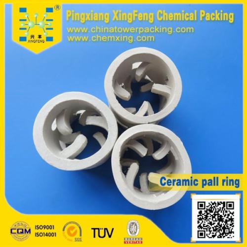 Ceramic Pall Ring for scrubbing towers in chemical industry