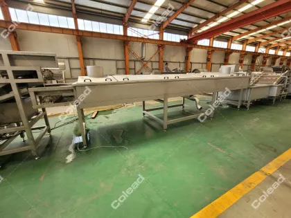 Commercial Fresh Cut Vegetables Pre-cooking Machine