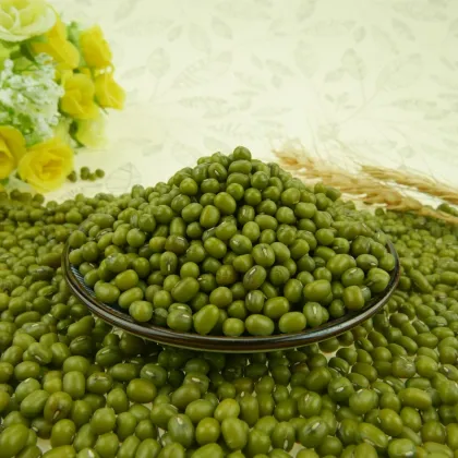 Organic Dried Green Mung Beans