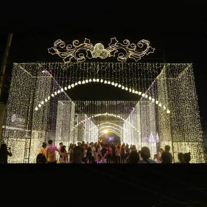 Commercial LED Tunnel Entrance Christmas Lights for Outdoor Decorations