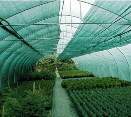 Greenhouse SunShade: Agriculture Garden Shade Netting Solutions