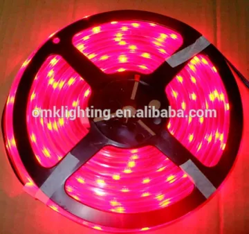 2.4W 3528 LED Flxible Strip Light with CE ROHS