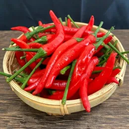 Premium Yunnan-Grown Bird`s Eye Chilies from Yunnan