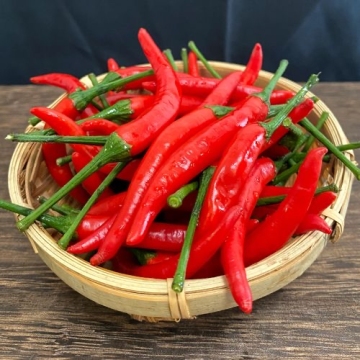 Premium Yunnan-Grown Bird`s Eye Chilies from Yunnan