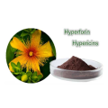 Alimentation en poudre Hypericum Perforatum PE