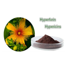 Supply Powder Hypericum Perforatum P.E