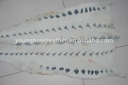 Sturgeon skin leather for bags