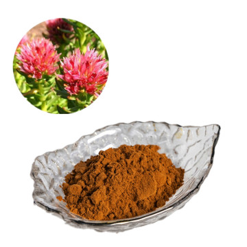 factory supply high quality rhodiola extract rhodioside
