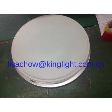 Ceiling Mount housing lamp T5