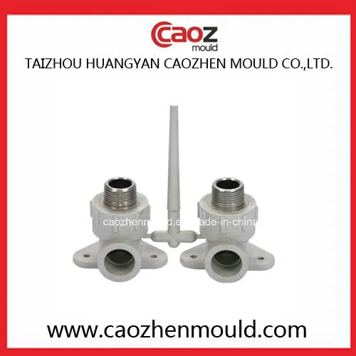 China Best Plastic Injection PPR Fitting Mould
