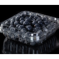 Tujuan umum 125g blueberry punnet untuk pasar
