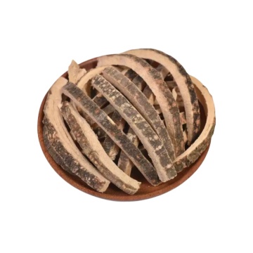 Albizia julibrissin for Natural Remedies