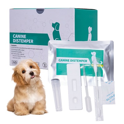 canine distemper virus (cdv) canine distemper virus (cdv)