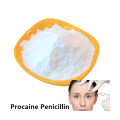 Factory price Procaine Penicillin Allergy powder for sale