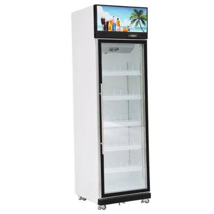 Large Capacity Hot Pepsi Wine for Commercial Restaurant Beverage Showcase