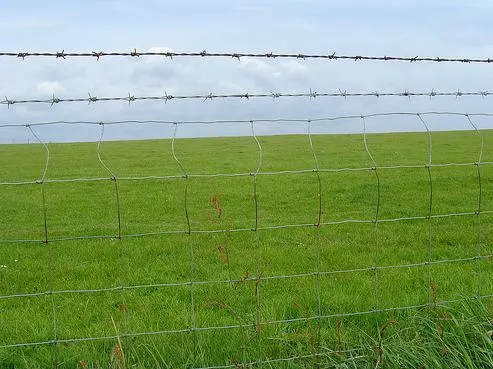 Fence a maglie di filo di cervo galvanizzato Fence