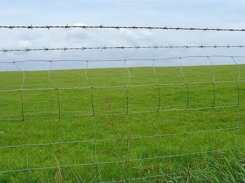 Valla de malla de alambre de ciervo cerca galvanizado de cervatillo