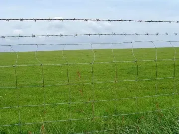 Deer Wire Mesh Fence Galvanized Fawn Fence