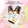 Evening Primrose Carrier Oil/Pure Evening Primrose Oil/Natural Evening Primrose Oil