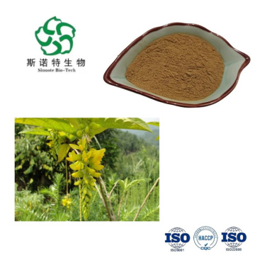 Pure Polygala Fallax Extract for Stress Relief and Relaxation
