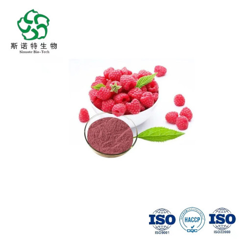 100% Pure Raspberry Extract Juice Raspberry Fruit Powder