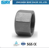 1/8 - 4 inch hexagonal Pipe Fittings